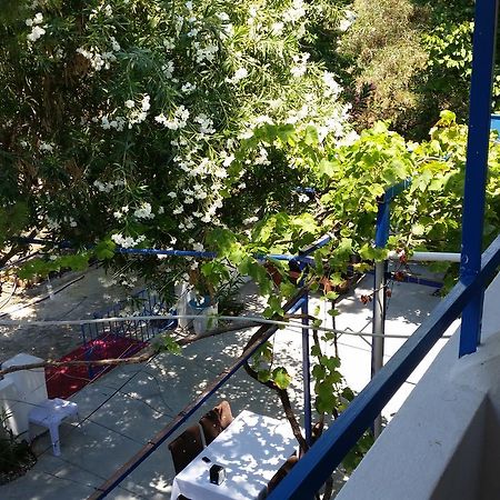 Deniz Yildizi Bed & Breakfast Fethiye Dış mekan fotoğraf