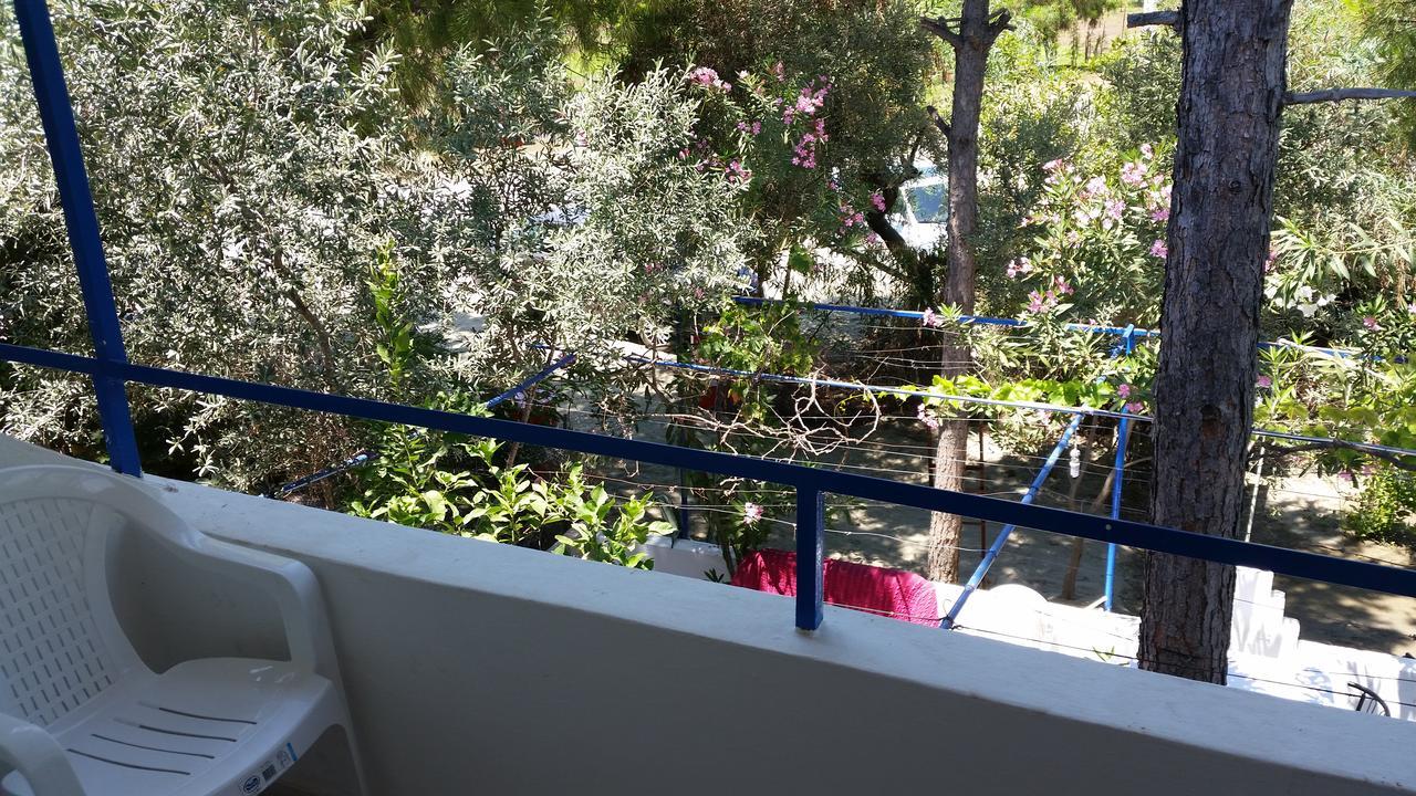 Deniz Yildizi Bed & Breakfast Fethiye Dış mekan fotoğraf
